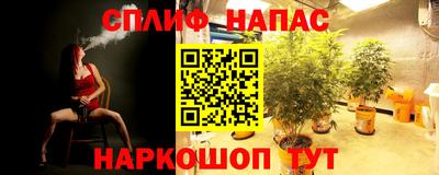 гашик Кинель