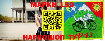 мяу мяу мука Кимры