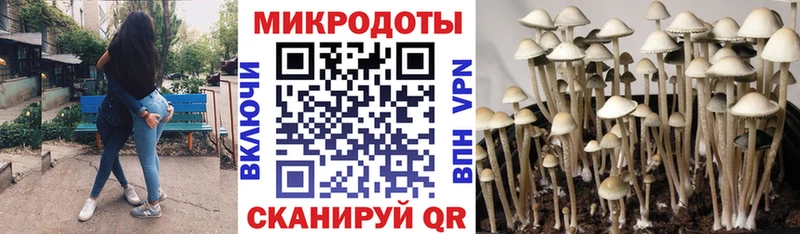 где продают наркотики  Кунгур  Галлюциногенные грибы GOLDEN TEACHER 